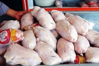 ۵۰۰ تن مرغ منجمد در آذربایجان‌غربی توزیع می‌شود