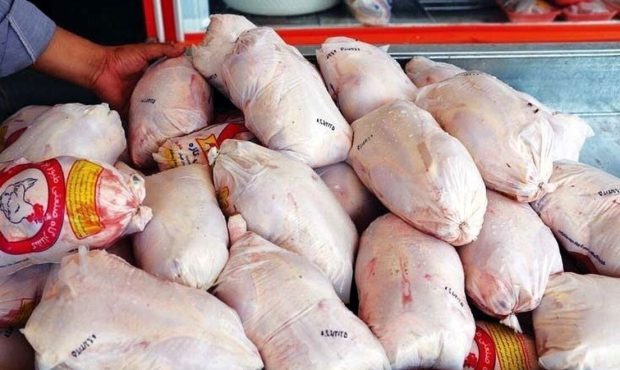۵۰۰ تن مرغ منجمد در آذربایجان‌غربی توزیع می‌شود